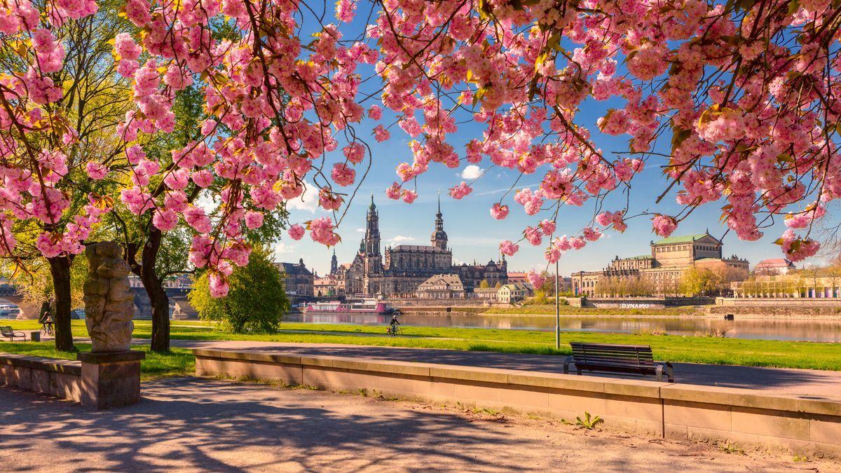 Dresden